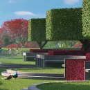 DLF Camellias - Wide Animation (9)